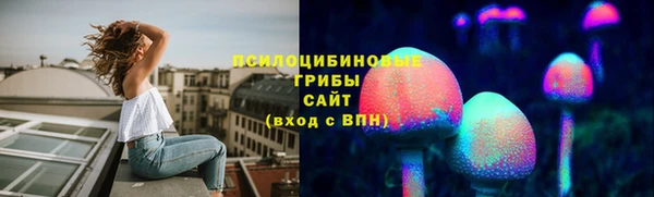 эйфоретик Белокуриха