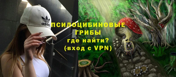 эйфоретик Белокуриха