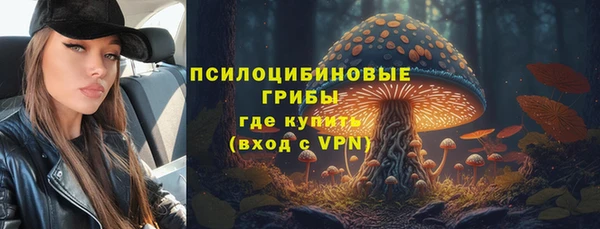 эйфоретик Белокуриха