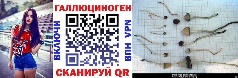Галлюциногенные грибы прущие грибы купить цена Михайлов