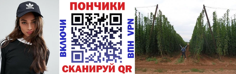 дарнет шоп  Михайлов  Конопля Bruce Banner 